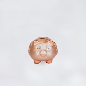 金猪 小 Golden Pig Small