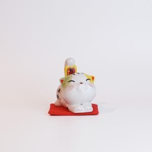 平安喜乐布偶猫 迷你 Peace and Joy Ragdoll Cat Mini